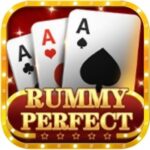 Rummy Perfect APK Download